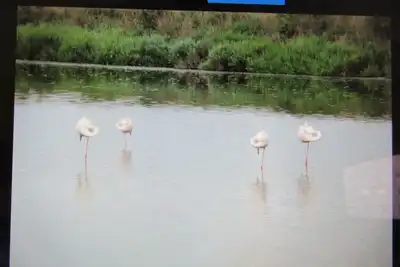 Image de Le clos des oiseaux est une exploitation Viticole situé à Aimargues