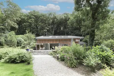 Image de Dippers, woodland setting at the Luxulyan Valley