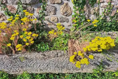 Maisonnette à la campagne