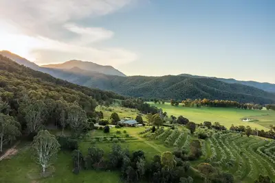 Image de The Grove Estate - The pièce de resistance of this property is the view, be it the 360-degree views of the surrounding bush side, valley and the Region’s famous Mt Buffalo or perhaps the view of the spectacular and famous artwork showcased through th