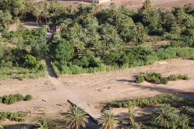 Image de Chambre d’hôte l'oasis de Fint