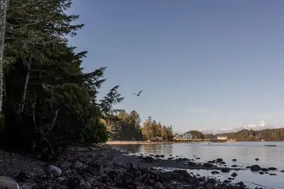 Image de Orca Cabin I West Coast Trail I Pets I Big Beach