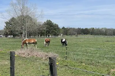 Image de Family&Pet friendly Farmhouse, Equine retreat, Fenced yard, Central Location!