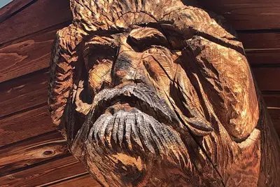 Image de Modern Rustic Cabin with Denali View