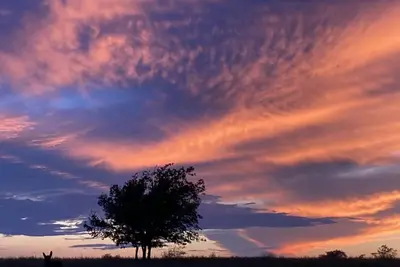 Image de Country Escape - Live to be Wild