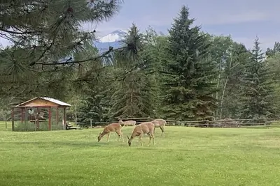 Image de Private, 2 bedroom Guest House, Unit A.