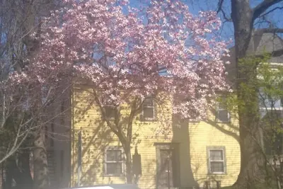 Image de Historic Clayton-Bullock Schoolhouse Near Downtown Cincinnati! !