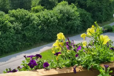 Image de Apartma 5 Entire rental unit hosted by Mlaker