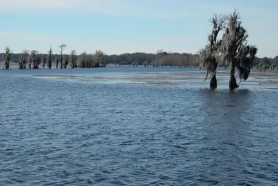 Image de Sunrise Cottage Deer Point Lake