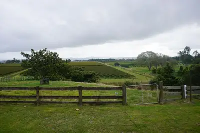 Image de The name \"Vineyard Vista\" reflects the setting of this property.