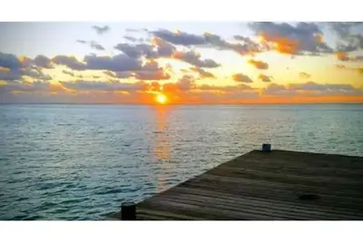 Image de Private Beach Oasis -Bahama Dream Rental