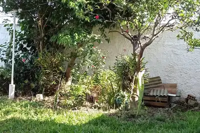 Image de snuggle house