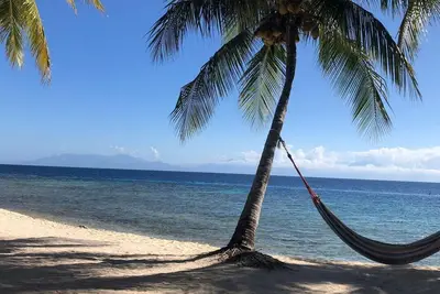 Image de Backyard snorkeling with stunning views!