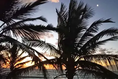 Image de Beach Front Private House With 7 Bedrooms