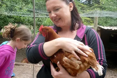 Image de Adopt a Horse Holiday - Farm Stay, lots of hands-on animals.