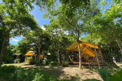 Image de Healing glamping where you can get in touch with n / Ishigaki Okinawa