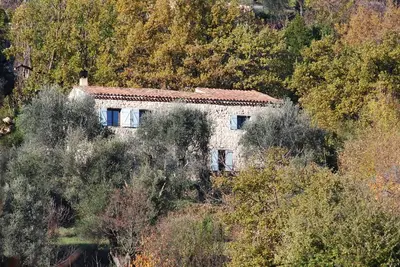 Image de Un mas  & sa piscine, entouré d'oliviers centenaires.
