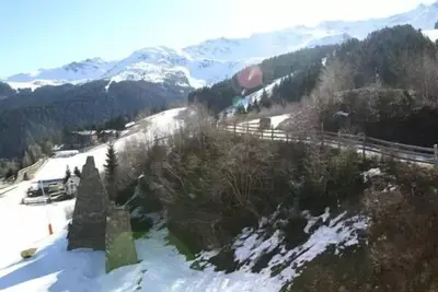 2 pièces cabine au pied des pistes résidence Edelweiss