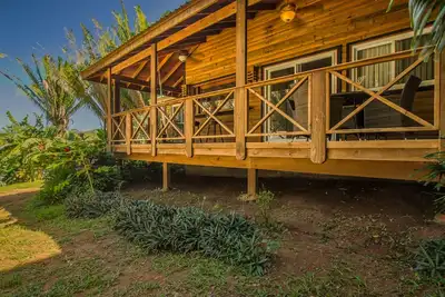 Image de Relaxing Tropical Cabin near Beaches & Downtown