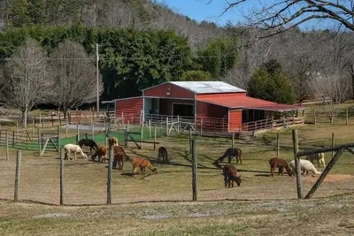 Image de *Must See* Cobb Creek Cabins at the Historic Cobb Family Estate