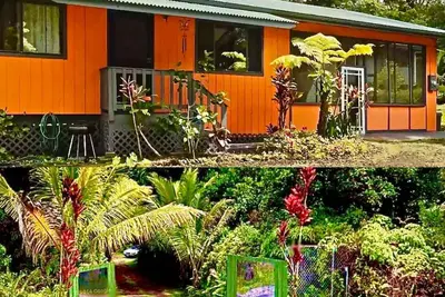 Image de Jungle Home/Ac/ NearHot Ponds Fissure 8/Hot Tub