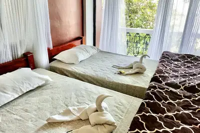 Image de Beautiful 2 bedroom w/ garden and s