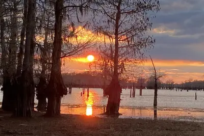 Image de Secluded Shades of Blue Lake Bistineau Sunsets Sleeps 19