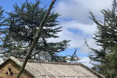 Image de Cozy Cottage