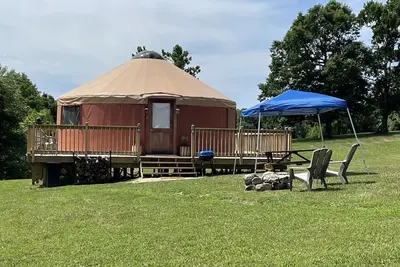 Image de Pet friendly glamping in a private yurt with stunning 360° views by Forest