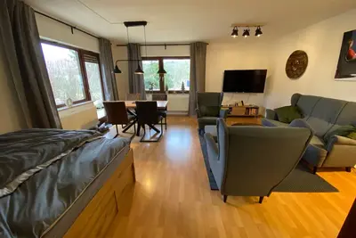 Vacation apartment/apartment for 4 guests with 55m² in Medebach (165615)