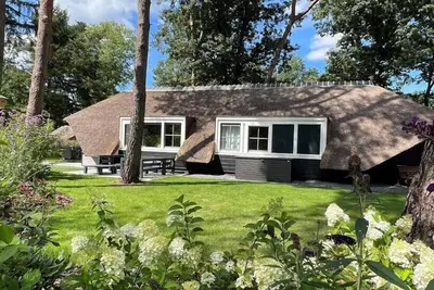 Sprielderbosch 6 luxury holiday villa in forest near Garderen
