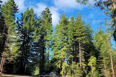 Image de Camp in private Redwoods, no fires