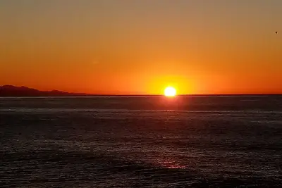 Disconnect by the ocean