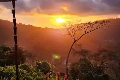 Image de Quiet Serenity overlooking the Jungle and Sea