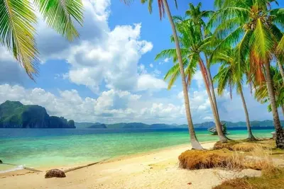 Image de Atlanta - 9