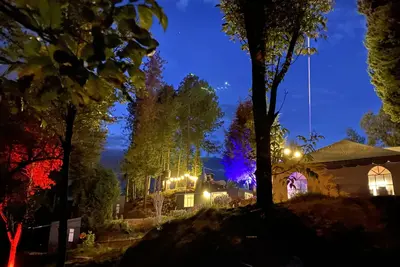 Image de New deluxe cabin in the middle of a pine forest, only 7 min from the city!