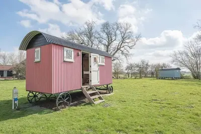 Image de Thyme Shepherds Hut at Boundary Farm, Framlingham