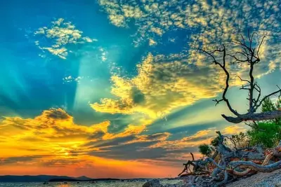 Image de Atlanta - 22