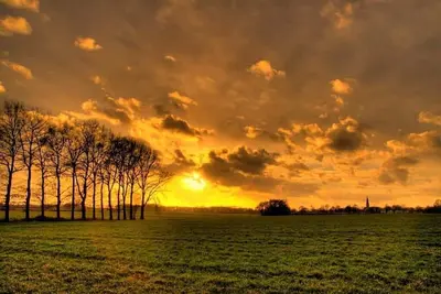 Image de Atlanta - 31