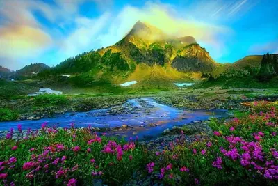 Image de Atlanta - 35