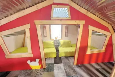 Image de Camels, Green Cabin and more at Kaleidoscope Ranch