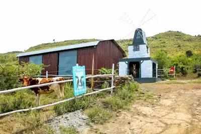 Image de Cabin in the Farm - Peach