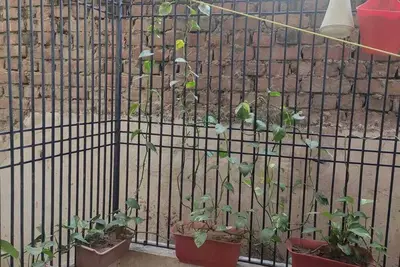 Image de 2 bed room apartment in prime location