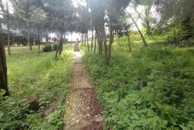 Image de CABAÑA Rural