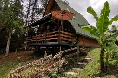 Image de Eucalyptus Chalet, inspired by nature.
