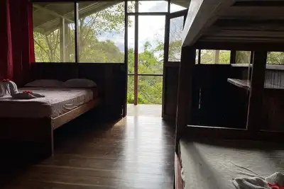 Image de in the heart of the forest, Near Corcovado National Park.