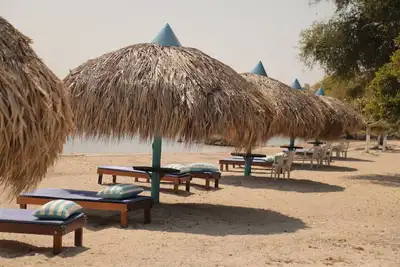 Image de Club Camping Isla Mar (Hostal)