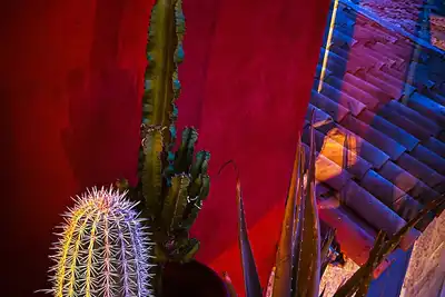 Image de Casa Rossa! Gite pour 4 avec  Spa Nordique à 10 minutes du Circuit du Castellet!