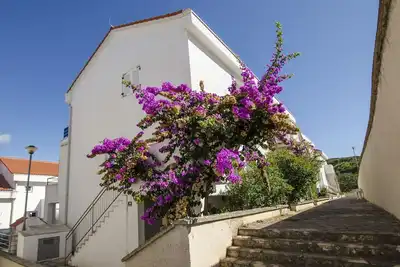 Image de Appartement Tatjana (47411-A1) - Necujam - île de Solta