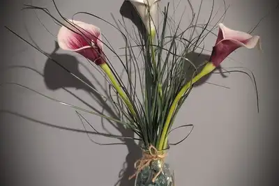 Image de Gorgeous Apartment Near Ubs Arena! ! !